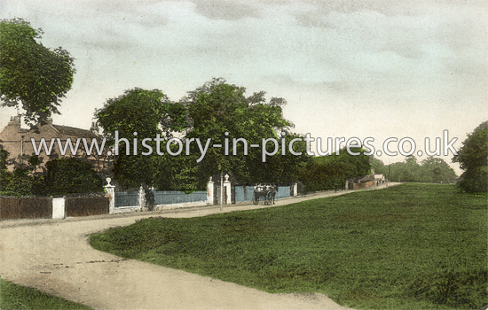 Forest Rise, Walthamstow, London. c.1907